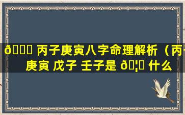 🐟 丙子庚寅八字命理解析（丙子 庚寅 戊子 壬子是 🦈 什么命格）